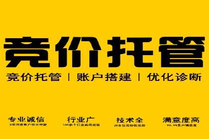 揭秘SEM托管服务案例，助力中小企业突破困境